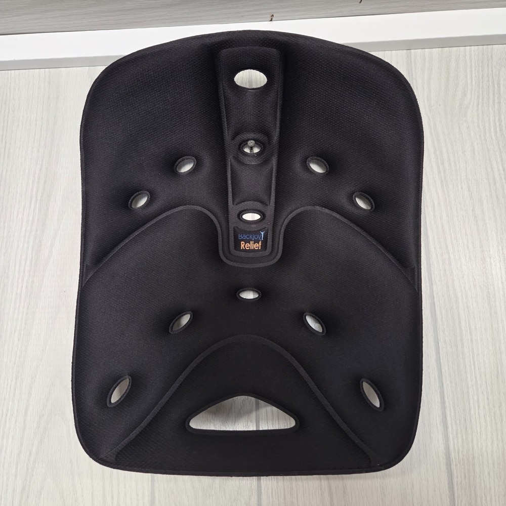 BackJoy SitSmart Core Traction Posture Seat for Lower Back Pain Relief